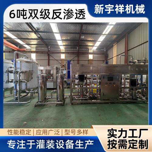 6吨双级反渗透直饮水机器纯水处理系统工业反渗透水处理设备
