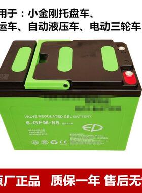 理士动力蓄电池6-EVF-65/3212V32H12V60H叉车搬运车电瓶