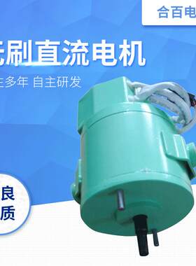 直流无刷电动车电机控制器外置微型马达无碳刷低噪音风扇电机