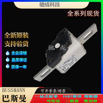 巴斯曼170M3747 170M3758 170M3759 长期出厂价格 快速熔断器