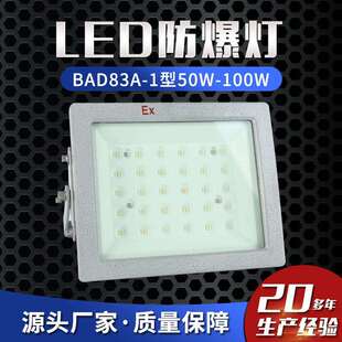 防爆投光灯 100W防爆泛光灯 防爆马路灯 1型50W LED防爆灯BAD83A