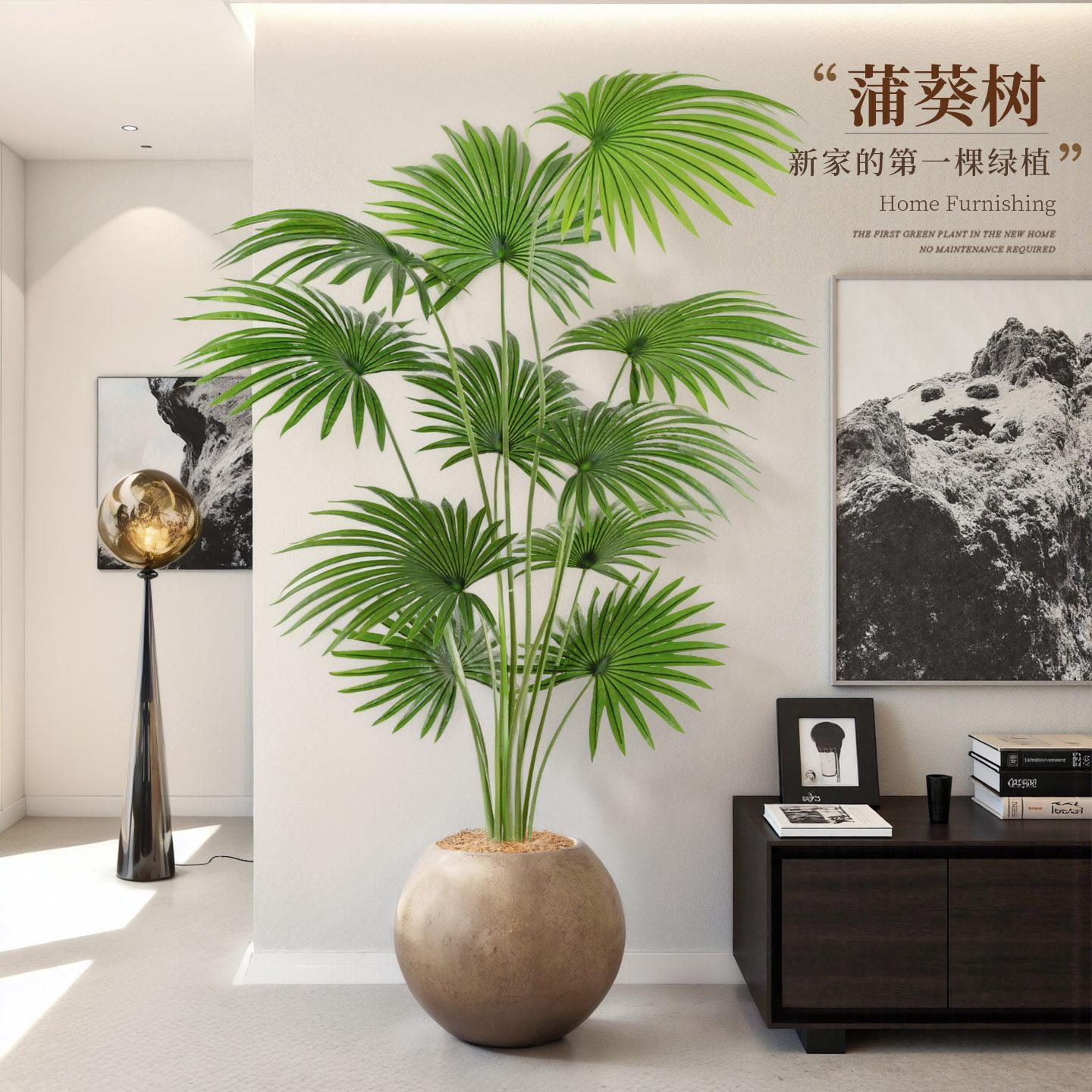 彷生绿植高端轻奢加州蒲葵盆栽室内客厅大型落地装饰扇葵摆件造景