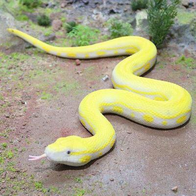 Realistic Fake Snakes Toy Rubber Snake Fake frog mouse假蛇