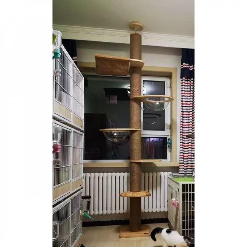 顶天立地猫爬通天太柱咪实木小BCG户型空架舱猫攀爬架一体diy多功