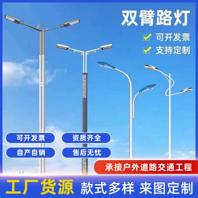 LED市电路灯220V庭院景观灯太阳能路灯高杆灯道路照明生产厂家