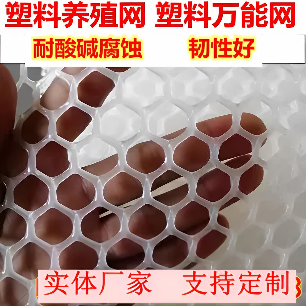 塑料平网养殖网养鸡鸭鹅漏粪网家禽育雏脚垫网阳台防护网养蜂网