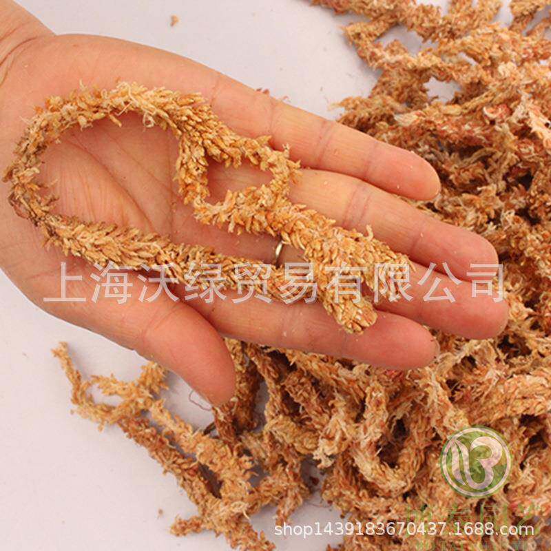 虫水苔毛IJJ毛公水-草4.55斤蝴蝶兰兰花多肉