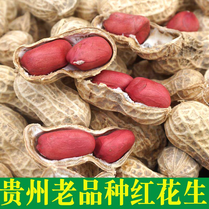 2025年自产红衣花生带壳 生花生红衣红皮 农家自种新鲜散装新晒干