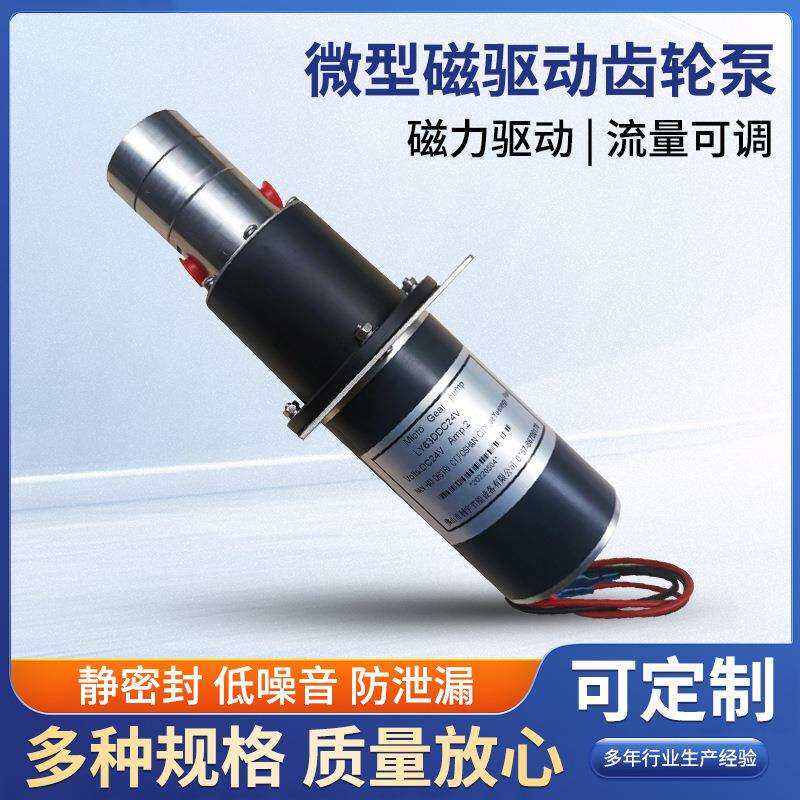 供应小型磁力齿轮泵微型水泵12v24v不锈钢磁驱微型齿轮流程泵