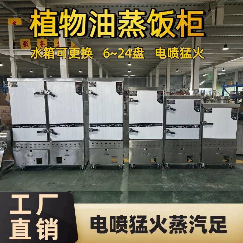 植物油白油甲醇电喷一键启动蒸饭车电打火电燃气液化两用48盘双门