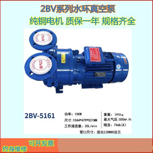 供应2BV型水环式真空泵高真空度电动无油真空泵抽除气体湿润蒸汽