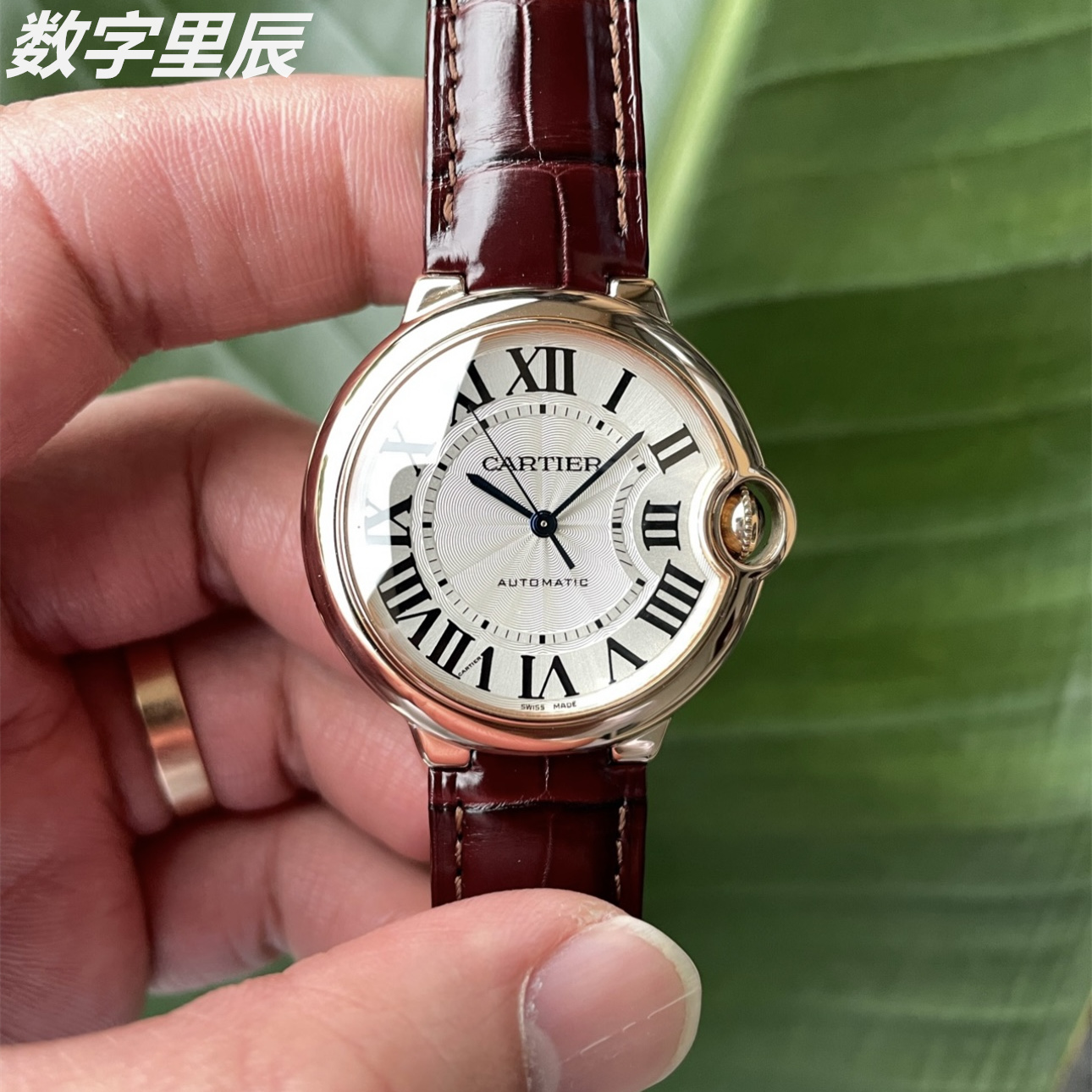 36mm[9.8新]卡地亚蓝气球系列18K玫瑰金自动机械手表女表W6900456