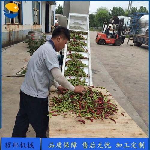 全自动毛豆风选机大型辣椒风选设备中药材玉米分选机器