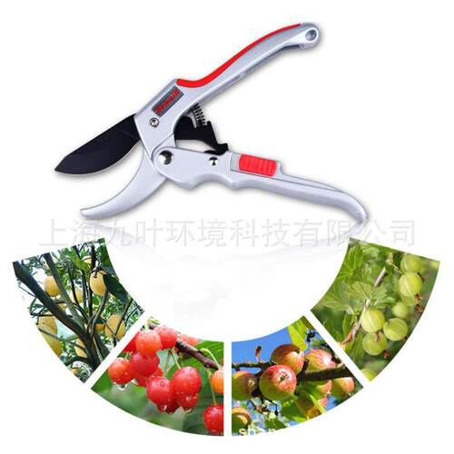 AMK008手剪省力园艺剪奥迈克Aomaik园林果树修枝剪