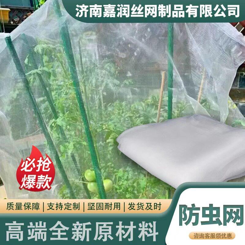 蔬菜大棚防虫网加厚抗老化防虫网罩果树蚂蚱养殖猪场纱网防虫网