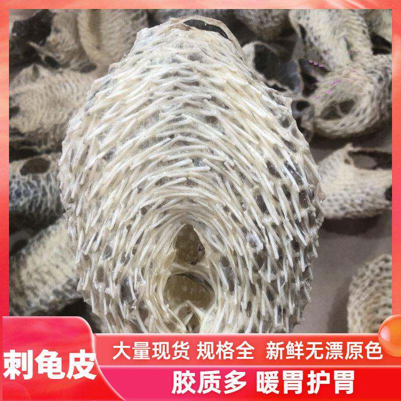 靓大刺龟鱼皮刺豚皮刺鲍鱼海胆皮煲汤暖胃胶质多海鲜干货500克