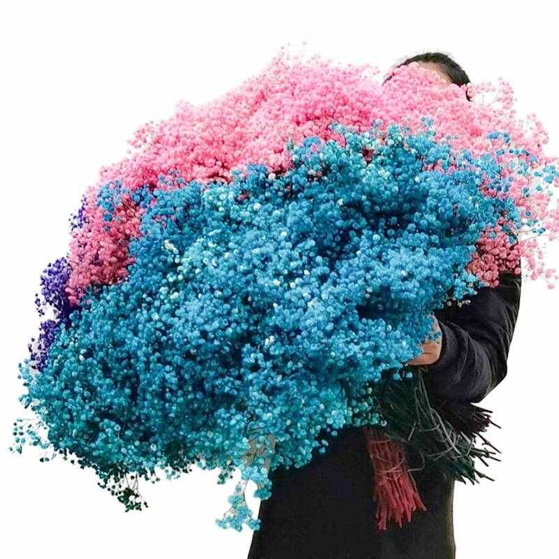 满天星干花花束客厅摆设装饰摆件天然鲜真花风干花束大求婚礼品