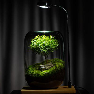 创意桌面微景观花瓶DIY绿植生态瓶苔藓懒人造景瓶现代简约花瓶