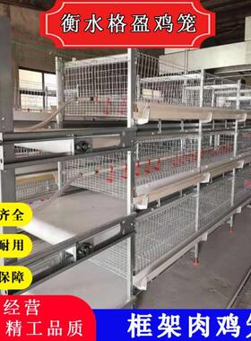 鸡舍全自动立式框架式鸡笼养设备，肉鸡笼养，肉鸡笼全自动热