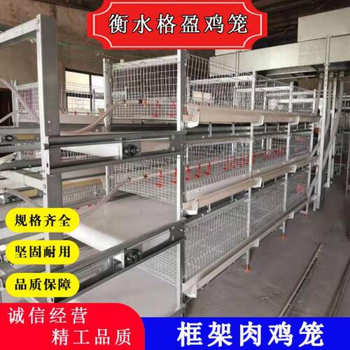 鸡舍全自动立式框架式鸡笼养设备，肉鸡笼养，肉鸡笼全自动热
