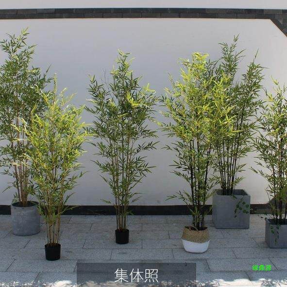 家居植物花艺竹子造景中式书房山水紫竹禅意橱窗绿植装饰