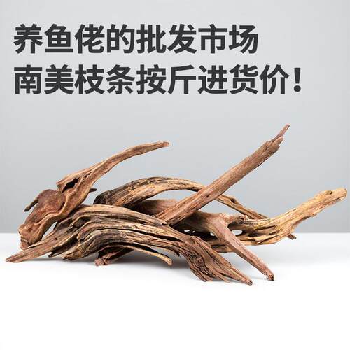 南美沉木枝条粗枝免煮秒沉水鱼缸造景天然紫柚木装饰木头树枝枯枝