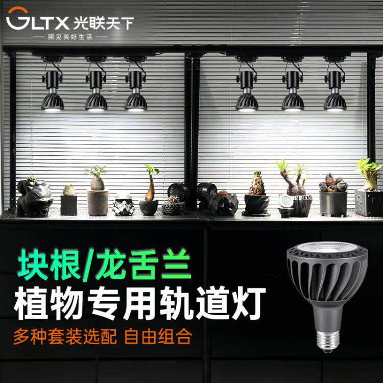 光联天下植物补光灯led轨道射灯全光谱龙舌兰块根仙人球生长灯30W