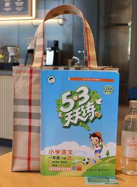 经典时尚格纹拉链防水牛津布大容量A4手提妈咪包外出手拎包便当包