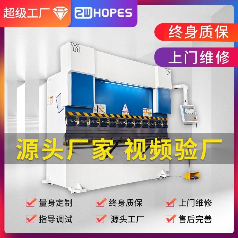 加工定制全自动双伺服折弯机扭轴折弯机厂家125T/4000电液数控