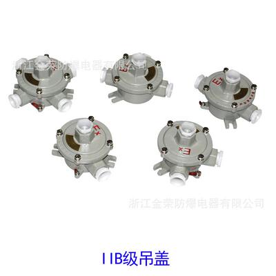 BHD51(AH)防爆接线盒接线箱分线箱端子盒分线盒 86型吊灯盒穿线盒