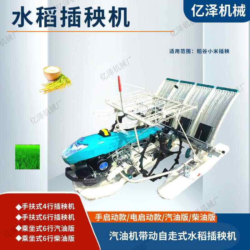 插秧机手扶水稻秧机农插AZK用大型坐乘式水稻植机6行水种稻插秧机