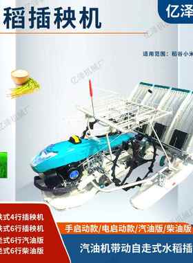 插秧机手扶水稻秧机农插AZK用大型坐乘式水稻植机6行水种稻插秧机