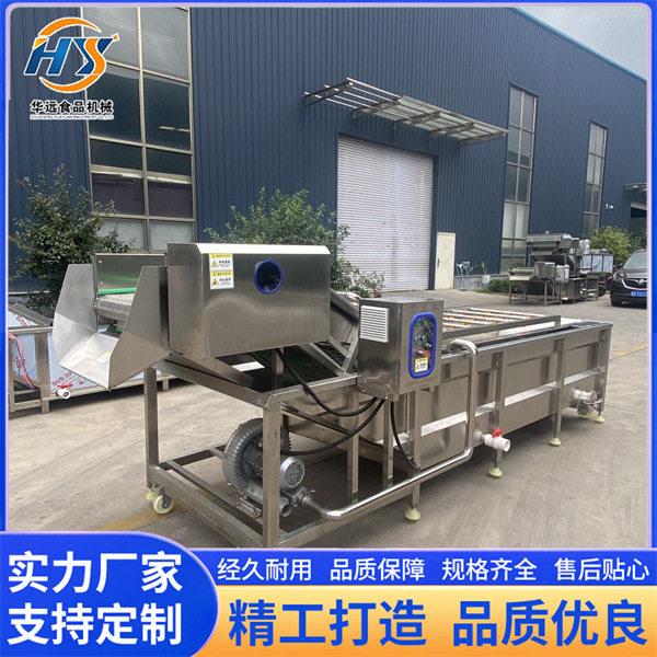 全自动苋菜去泥沙气泡清洗机水芹菜山野菜净菜深加工清洗设备