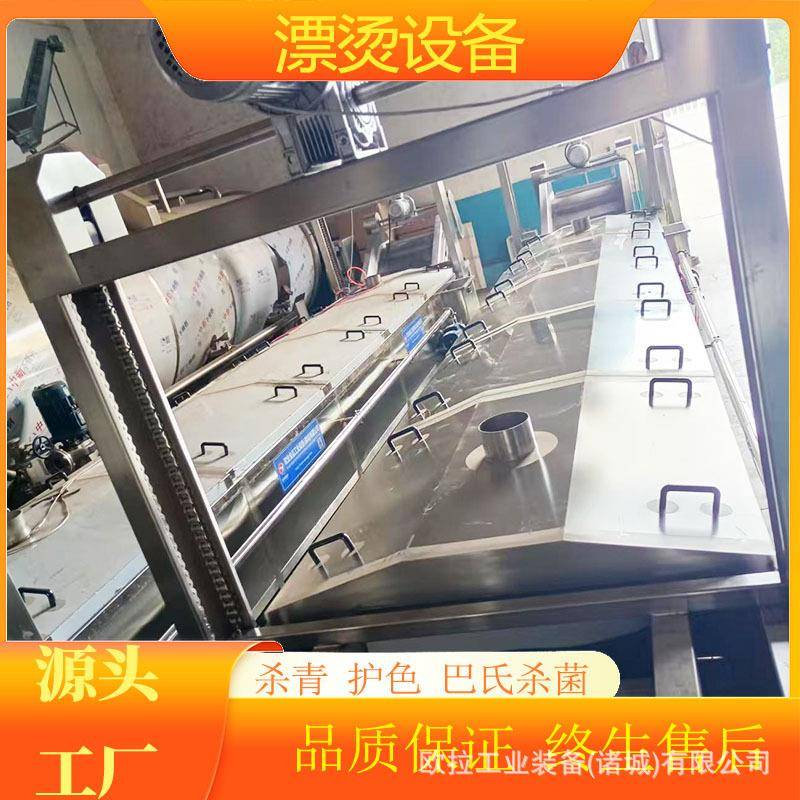 花生 海带清洗设备 净菜气泡清洗机流水线 姜不辣高压喷淋清洗机