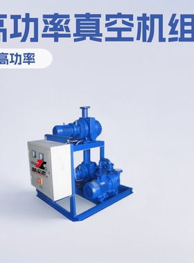 JZJ2S300-2水环真空机组ZJP300罗茨增压泵 2SK-6真空泵19KW