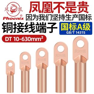 凤凰DT国标A级铜接线端子铜鼻子紫铜接头电线鼻直接头线耳10平方