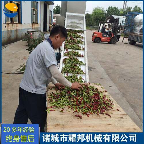 全自动辣椒风选机辣椒筛选清洗设备中药材杂物分选除杂去石机
