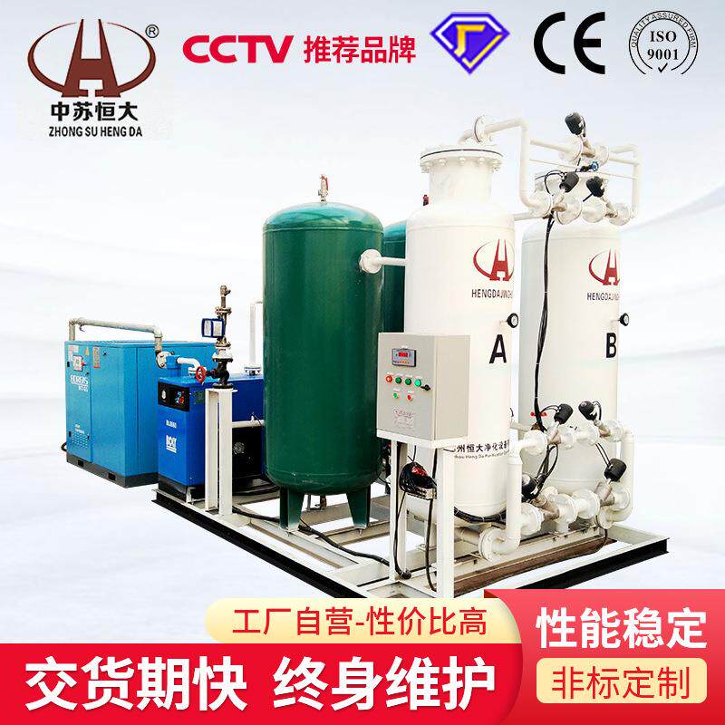 食品蔬菜保鲜包装用氮气机PSA变压吸附工业制氮机小型氮气发生器