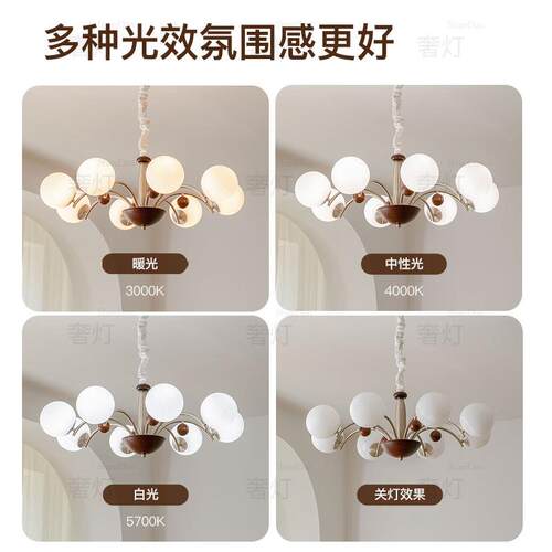 ShareDon 中古吊灯 南洋覆古vintage法式客厅灯魔豆枝形新款网红