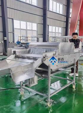 南极虾挂冰机鳗鱼裹冰机全自动海鲜鱼类保鲜挂冰流水线