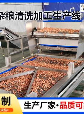 商用全自动花生米清洗机红豆加工清洗流水线玉米气泡清洗机设备