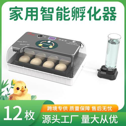 跨境货源12枚迷你小型家用孵化机智能孵化养殖小鸡孵化器厂家
