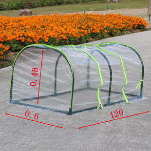 钢管喷漆小多罩棚花架花房迷你暖房防雨温棚保透明大棚棚遮阳肉