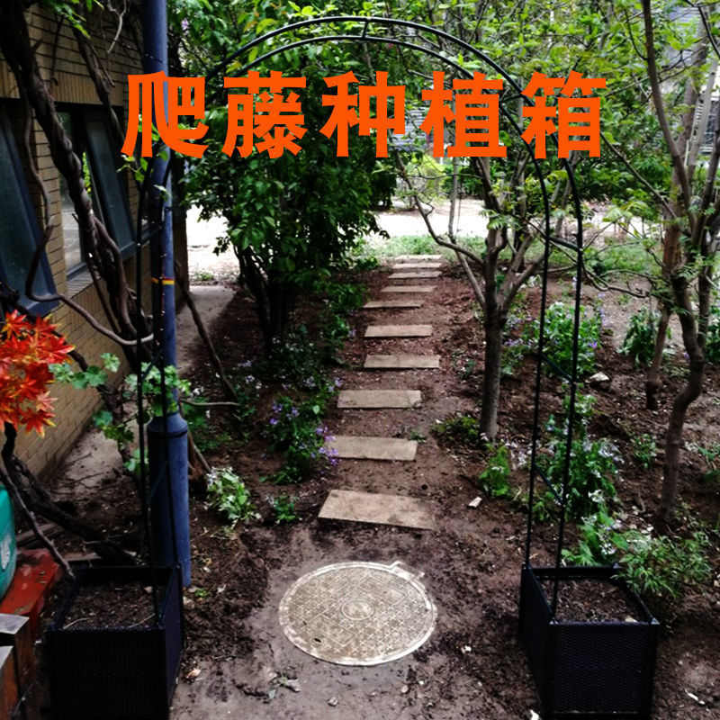 爬藤架网拱形花架丝瓜架黄瓜架葡萄架植物攀爬架种植箱含架植磊红