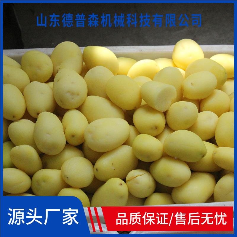 全动芋10-18吨/烫头果蔬去皮自设备 商用土豆红薯不锈削钢皮机高