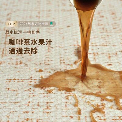 销地毯客厅款床sjr18100边卧房间轻奢高级感新室防水防分污耐脏易