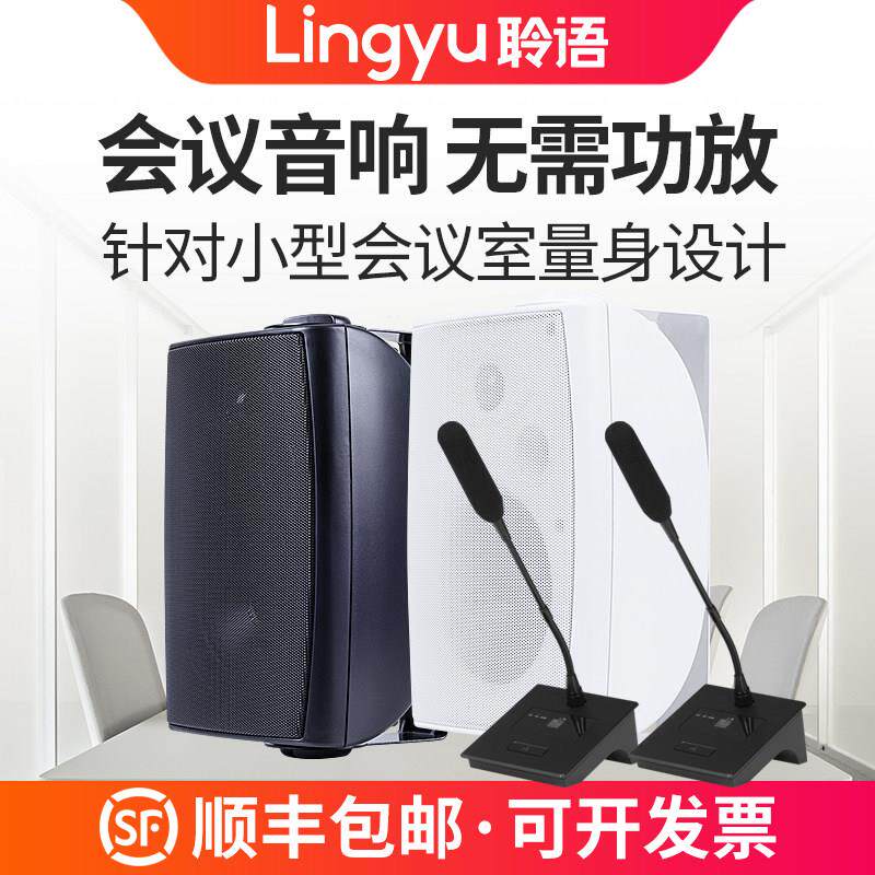 聆语会议室音响套装小型会议室专用音箱教室演讲室培训室壁挂音箱