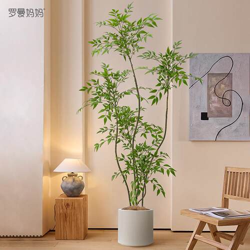 罗曼妈妈2025新款高端轻奢彷真绿色植物南天竹盆栽客厅绿植装饰假