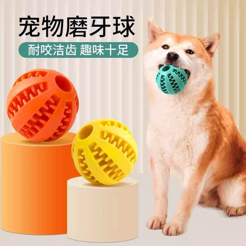 Pet Dog Toy for Entertainment: Durable Rubber Chew and Teeth