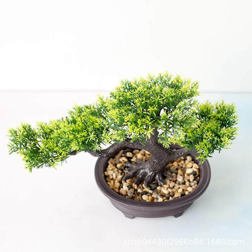 Welcome pine bonsai decoration simulation plant bonsai home